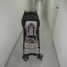 Carrito de paseo