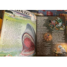 Lote de libros y cuentos infantiles