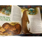 Lote de libros y cuentos infantiles